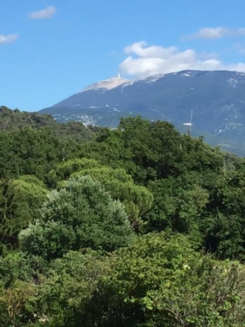 Villa Les Granges Vaison Saint-Marcellin-lès-Vaison 외부 사진